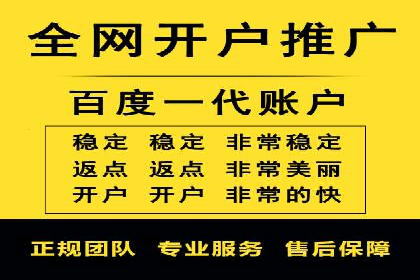 SEM推广代运营公司：实战案例解析