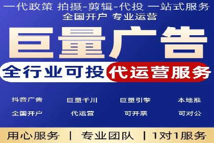 百度竞价排名机制：成功案例与策略探讨